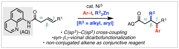 Ni Cross-Coupling_TOC