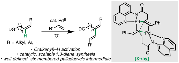 diene