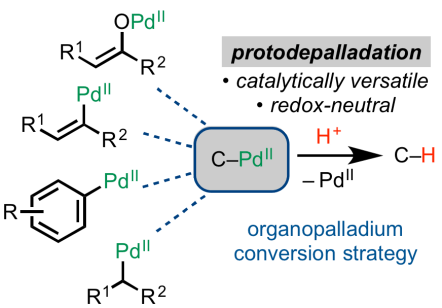 protodepalladation