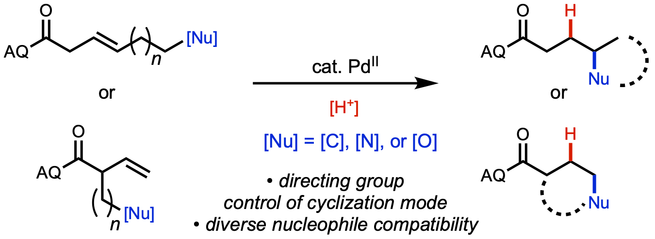 directed-cyclization