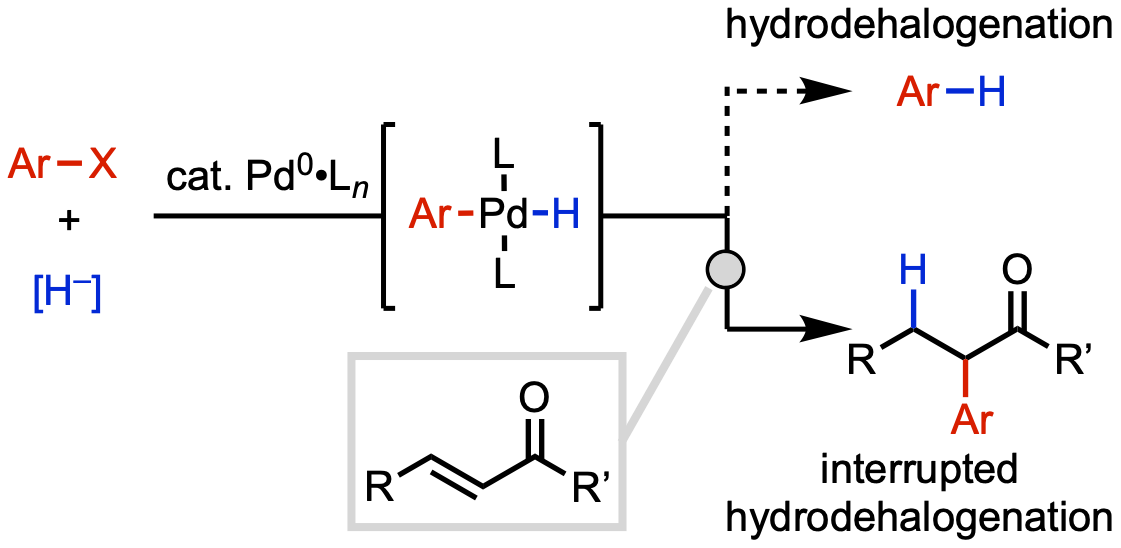 alpha-hydroarylation