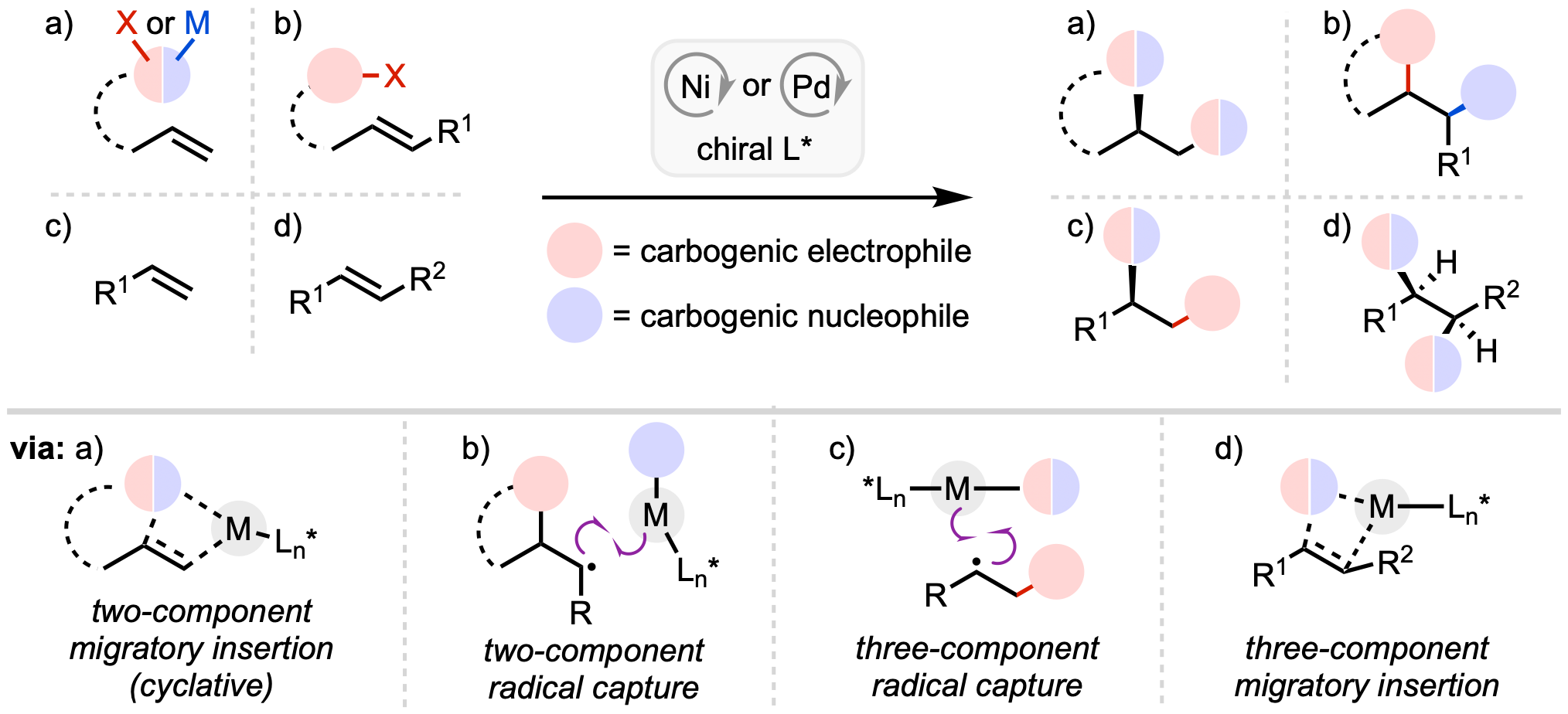 enantioselective 1,2-DCF
